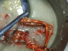 -蚝专家