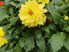 -上海佘山国家森林公园天马山园