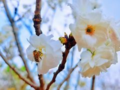 -观澜湖生态运动公社