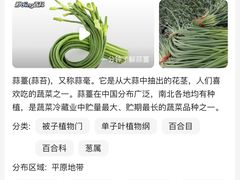 -洛缦音乐餐厅(工业展览馆万象城店)
