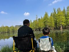 -白鹭湾湿地公园