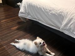 -绍兴大禹开元观堂-若耶厅