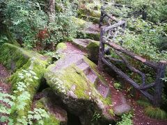 -汤旺河林海奇石景区