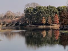 -上海海湾国家森林公园