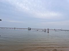 -碧海金沙