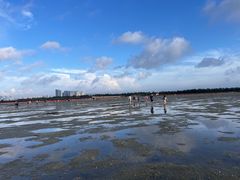 -北海金海湾红树林生态旅游区