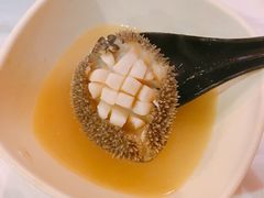 鲍鱼-鲜入围煮花胶鸡海鲜火锅