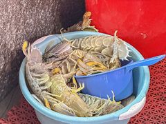 -凯华海鲜火锅·传承三十六年