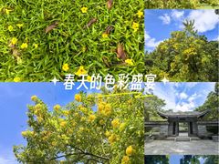-深圳国际园林花卉博览园