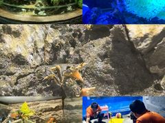 -太平洋海底世界