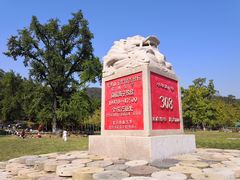 -千年银杏谷文化旅游区