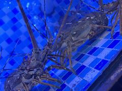 -莲花公园煎蟹(总店)