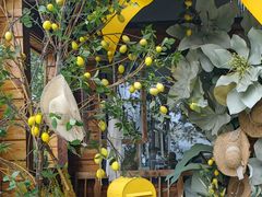 -禧宴Joyous Restaurant(禧园店)