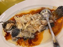 -鹏天阁酒楼·海鲜(红旗店)