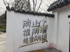 -南山植物园