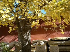 -北京石刻艺术博物馆(五塔寺)
