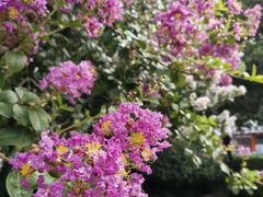 -杭州城北体育公园