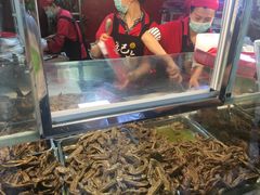 -王浩儿纪六孃甜皮鸭(乐山总店)