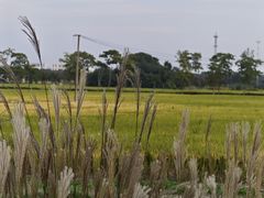 -嘉北郊野公园
