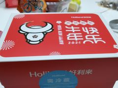 -蒲公英(五里店)