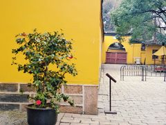 -西园戒幢律寺