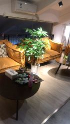 -Cocodemer 产后恢复中心(多伦路店)