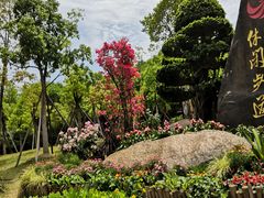 -飞凤山奥体公园