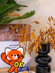 -Fundi张玉珊修身堂·indiba·BTL科技瘦身