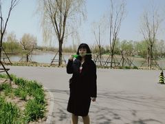 -东郊湿地公园