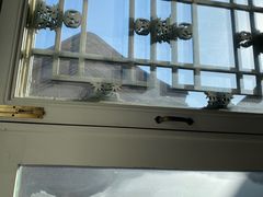 -北京古城老院厉晓麟精致菜