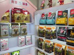 -青奢宠物·青奢猫舍