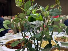 -荣粤酒家·融合粤菜