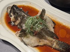 -三利音·浦之舟(滨江大道店)