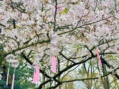 -杭州少年儿童公园