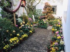 -杭州植物园