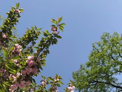 -莲湖公园