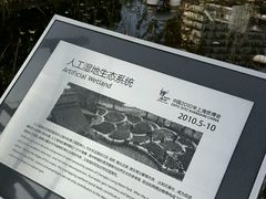 -活水公园