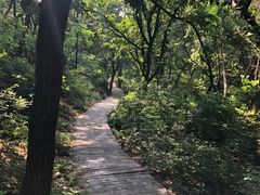 -棒棰岛宾馆景区