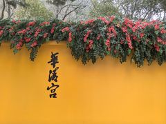 -华清宫景区