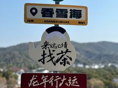 -香雪海