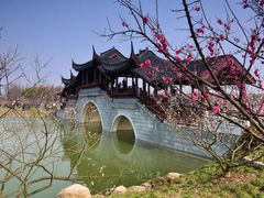 -上海海湾国家森林公园