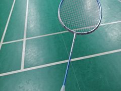 -东丽温泉羽毛球