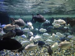 -成都浩海立方海洋公园