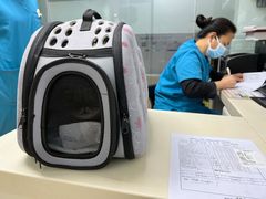 -宠颐生中康贝怡动物医院