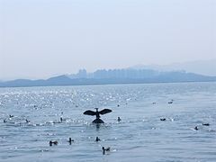 -深圳湾公园(南山区)