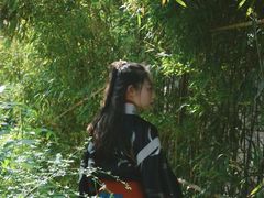 -碑林公园