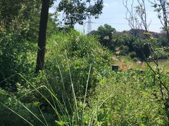 -长泰漂流水陆空景区