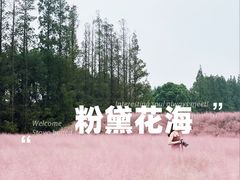 -嘉北郊野公园