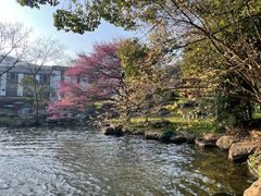 -中国茶叶博物馆(双峰馆区)