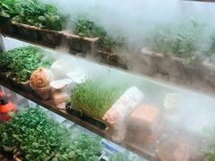 -鲜货俚鲜火锅(青果路店)